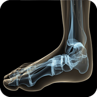 plantarf.png